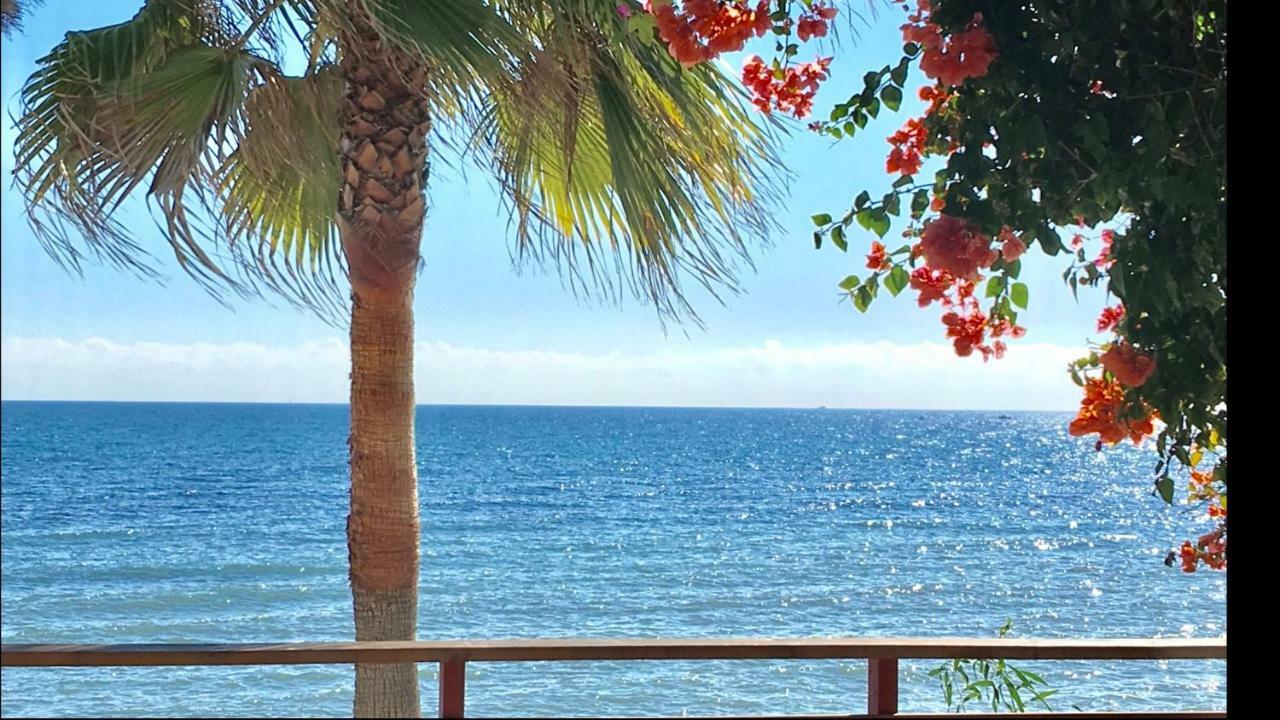 Mi Capricho 2B1 Beachfront Complex-Apartment Beachside With Sea Views Sitio de Calahonda المظهر الخارجي الصورة